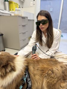 LASERTERAPIA