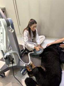 SIS – SISTEMA SUPER INDUTIVO